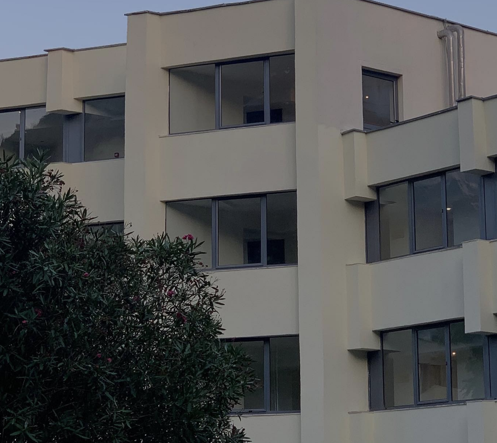 Reference image 1