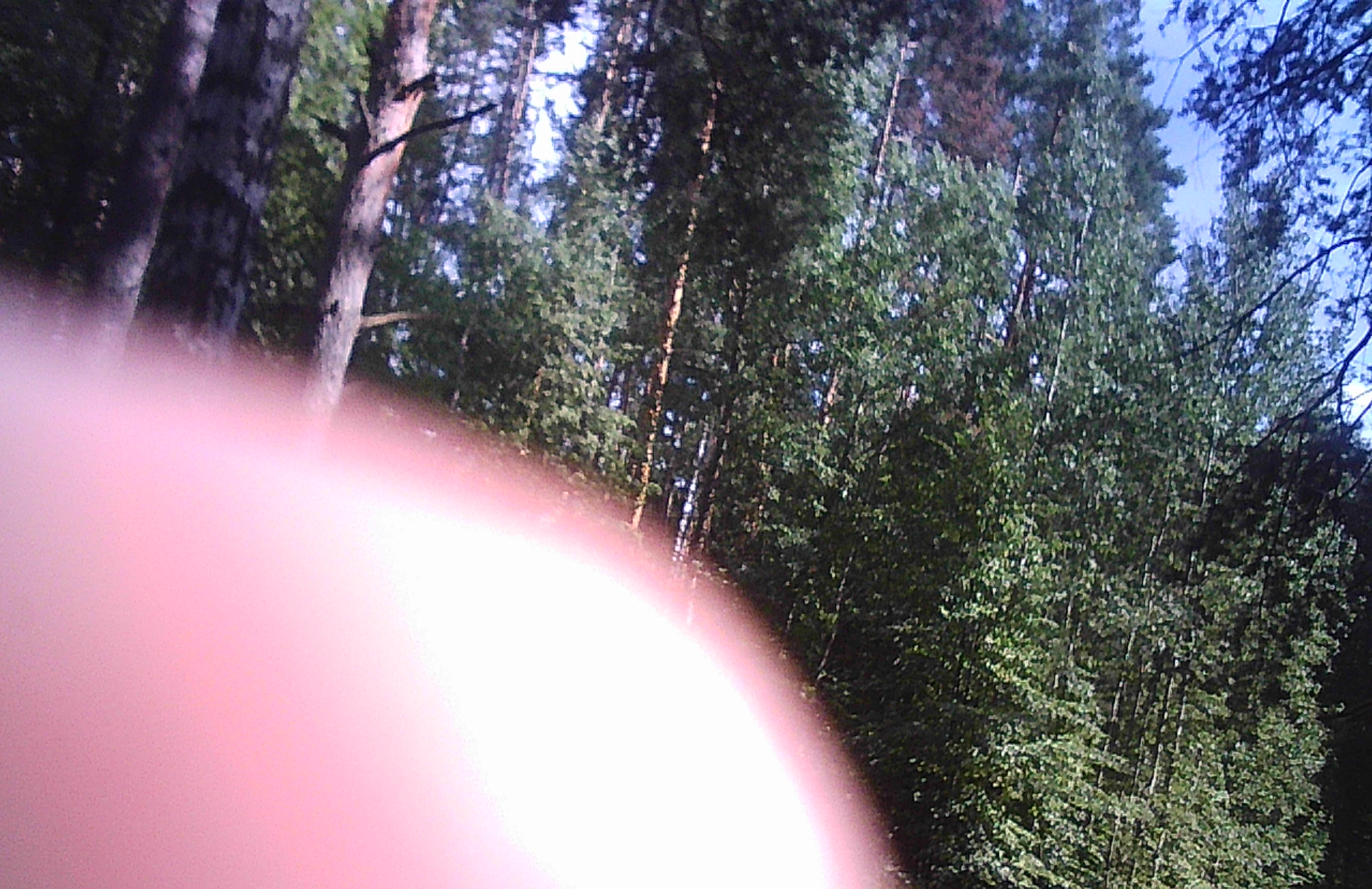 Reference image 1