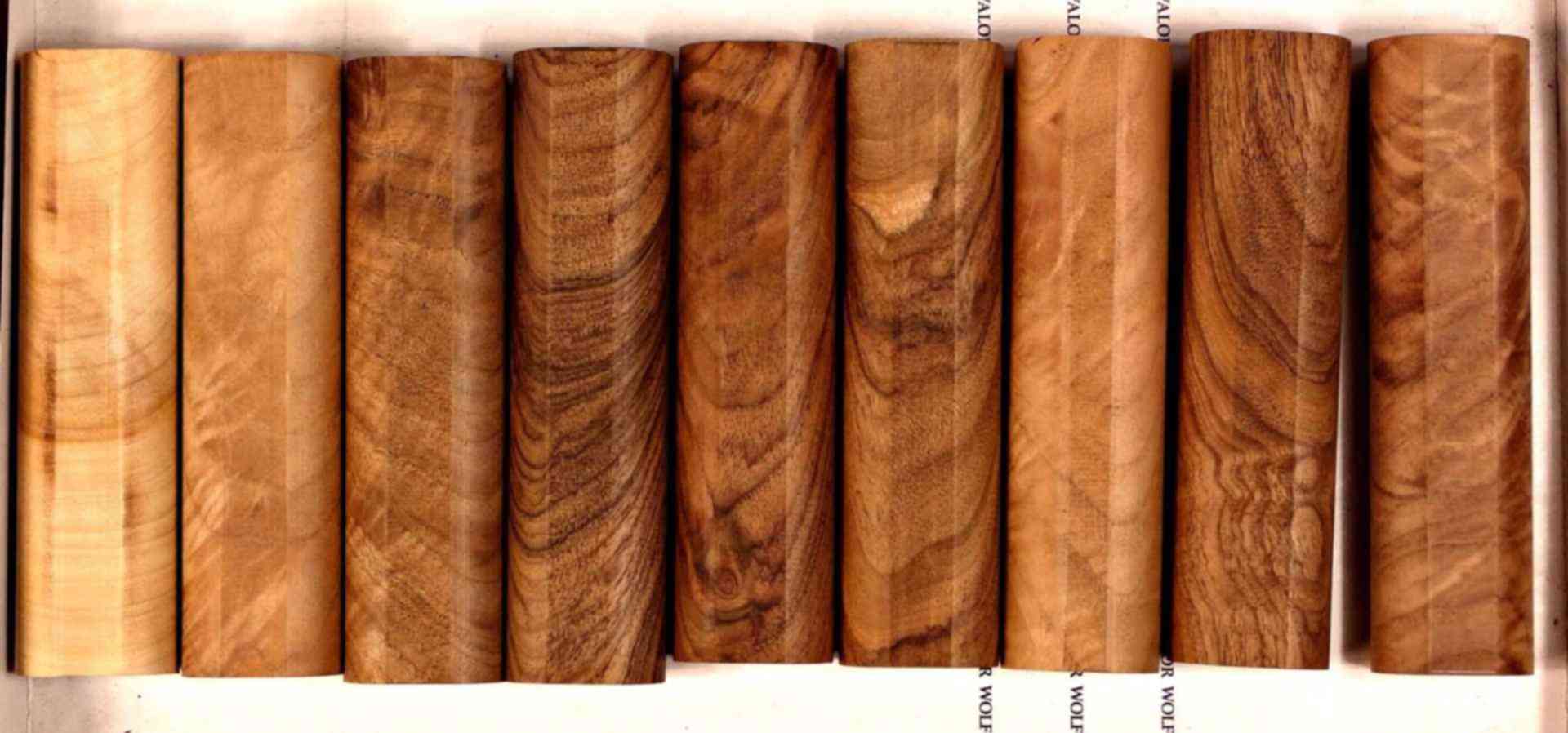 Reference image 1