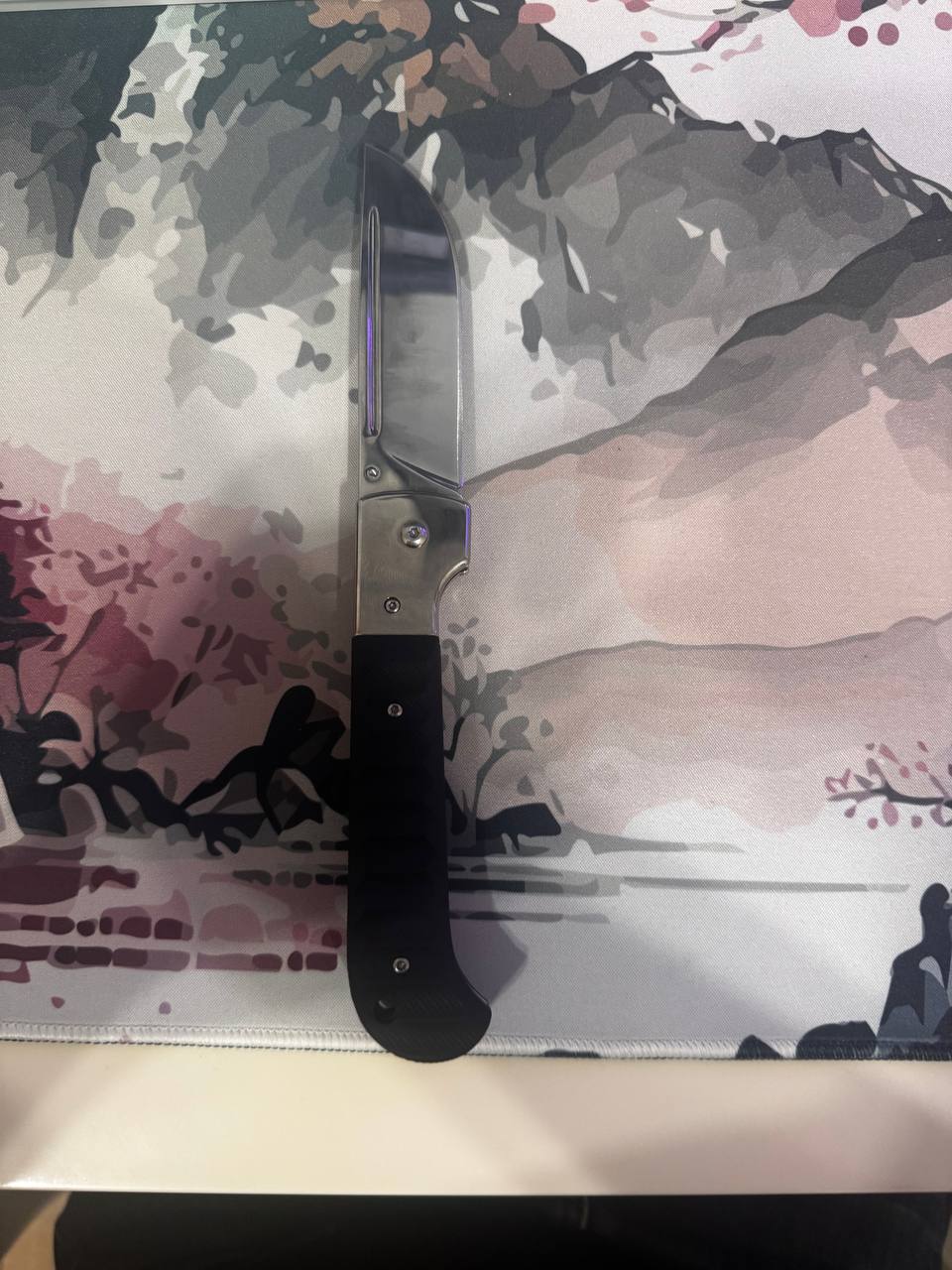 Reference image 1