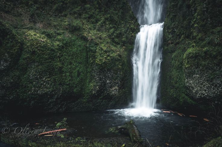 (2) Tumblr.jpg