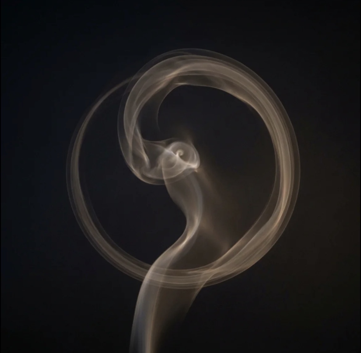 Reference image 1