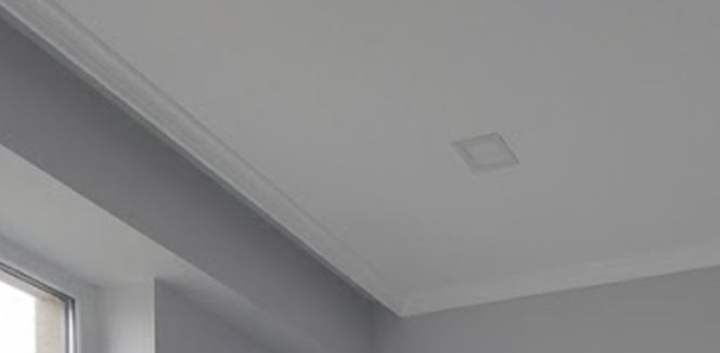 Reference image 1