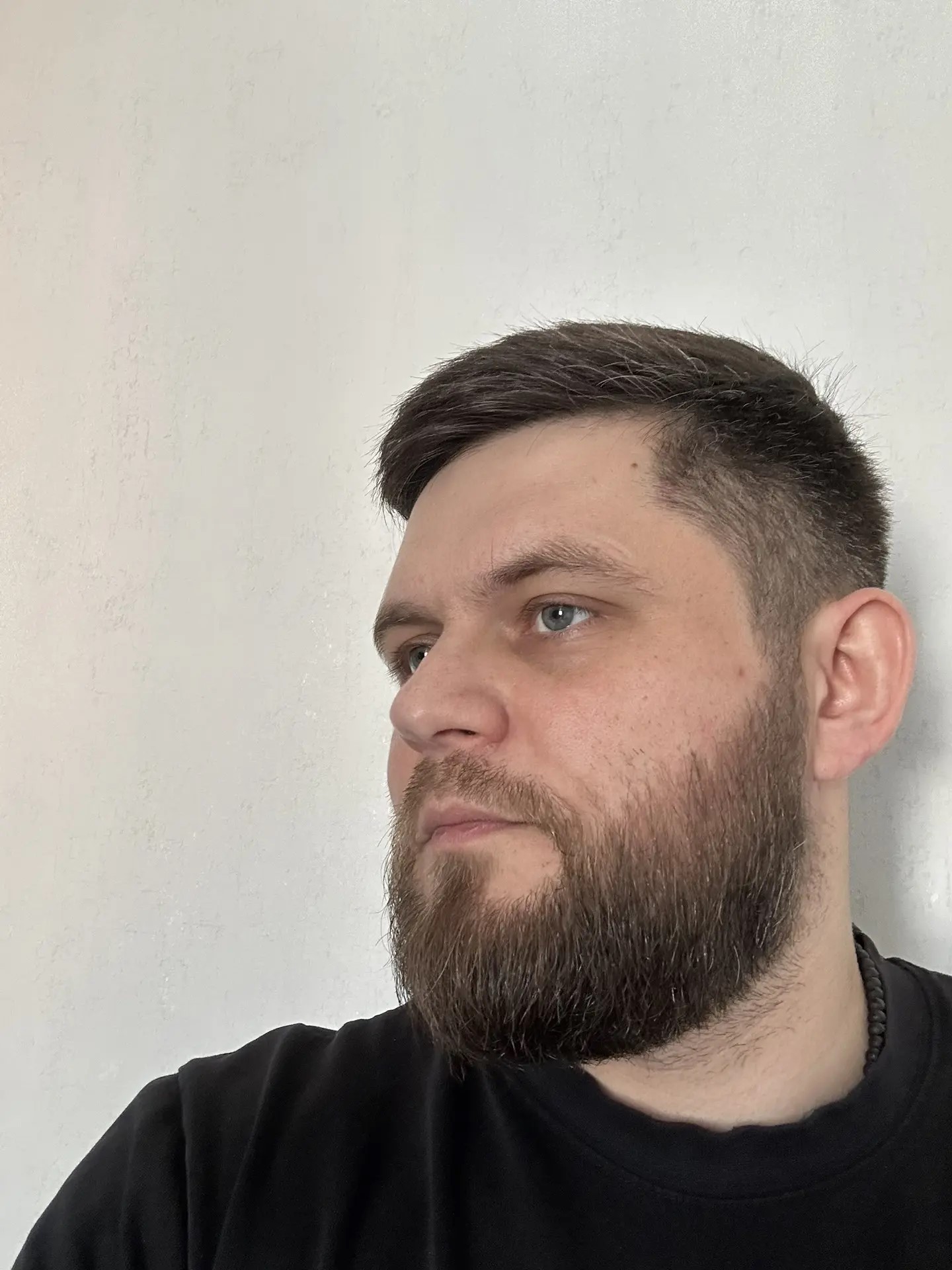 Reference image 1