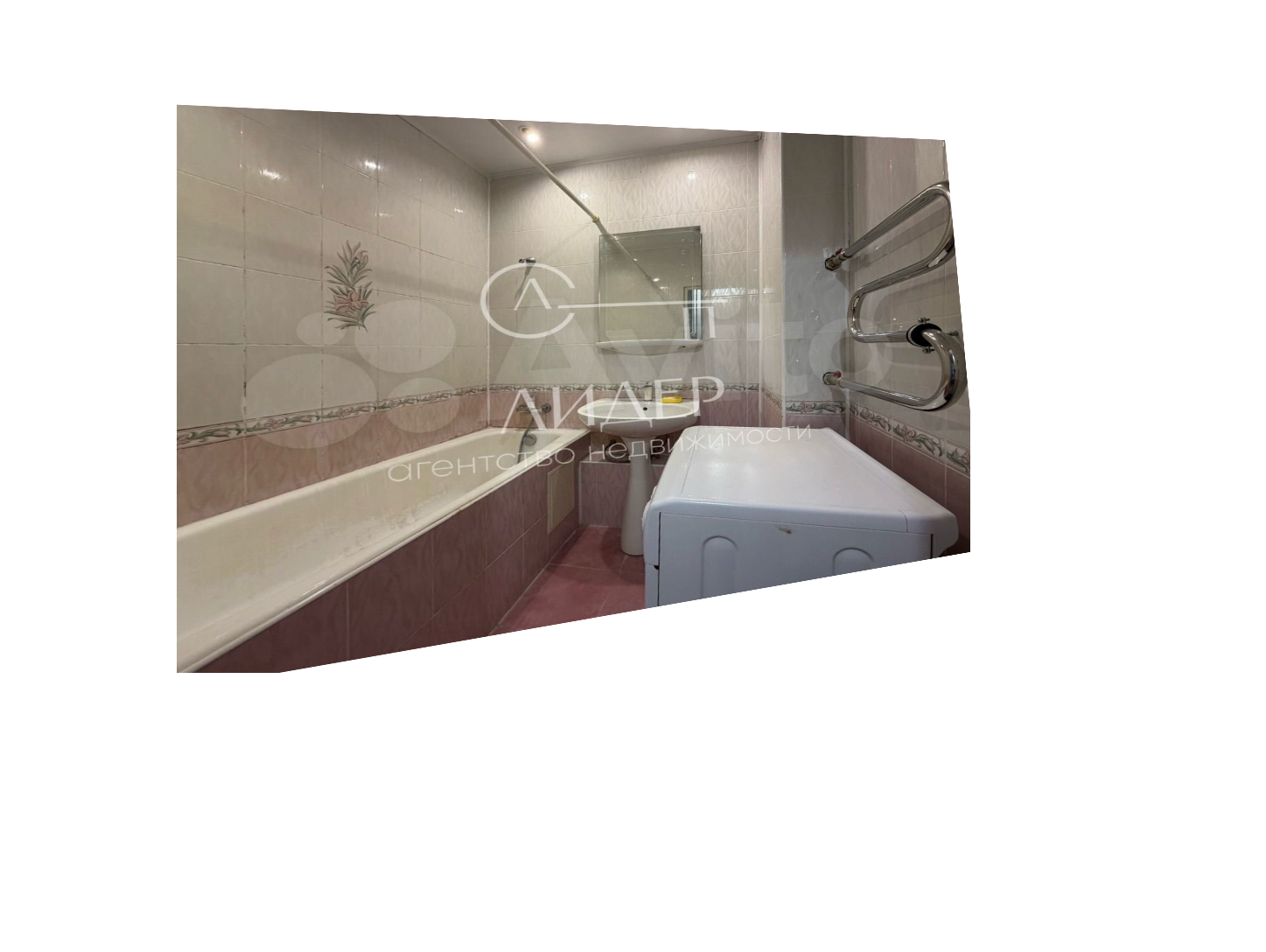 Reference image 1
