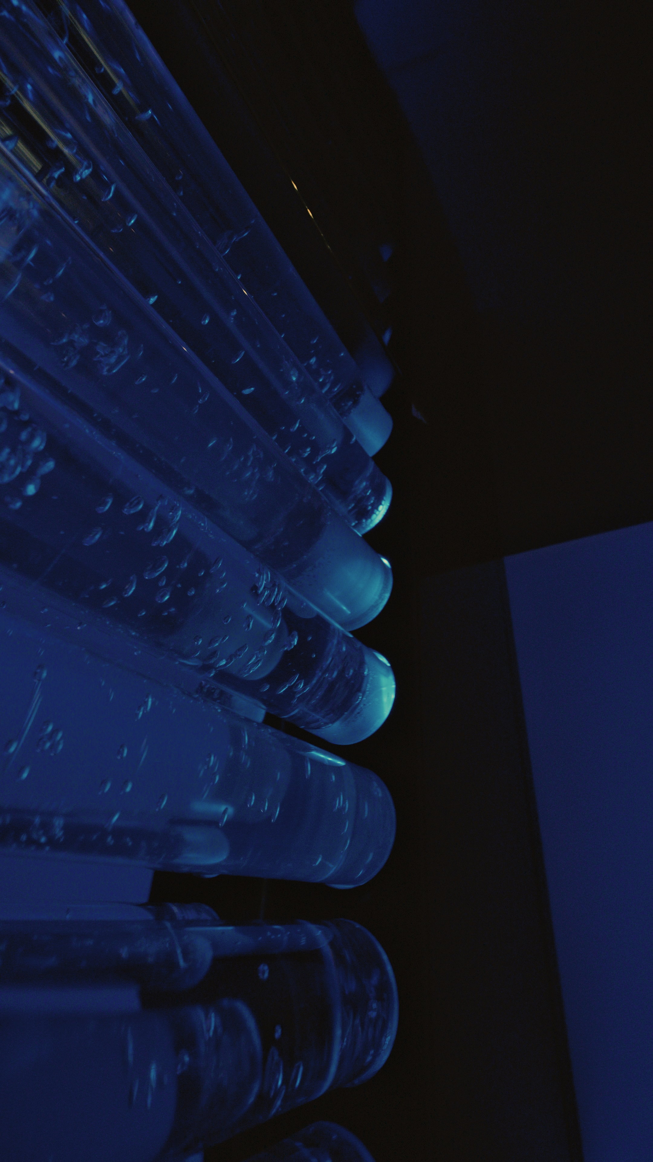 Reference image 1