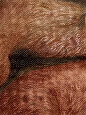 Reference image 1