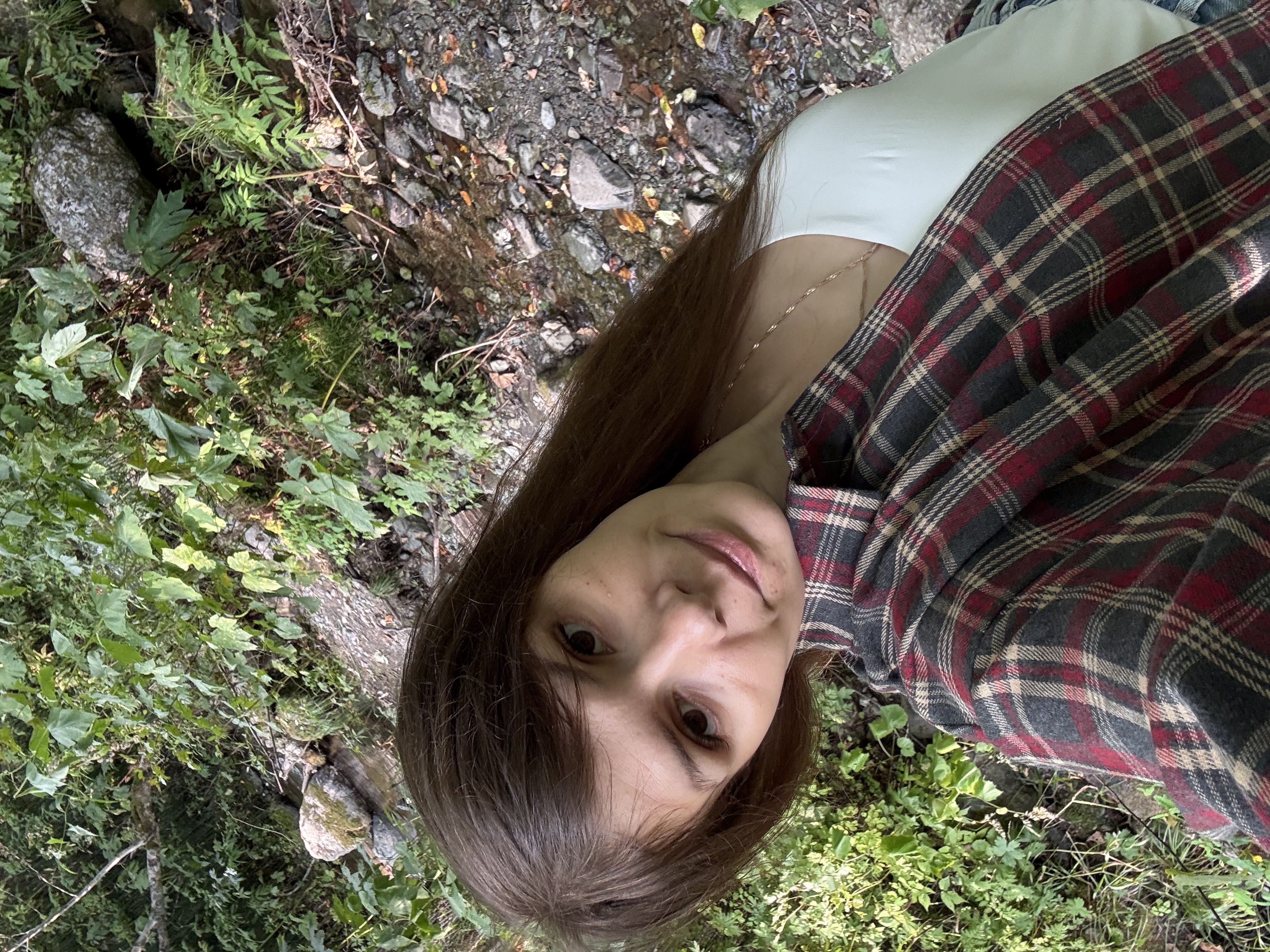 Reference image 1
