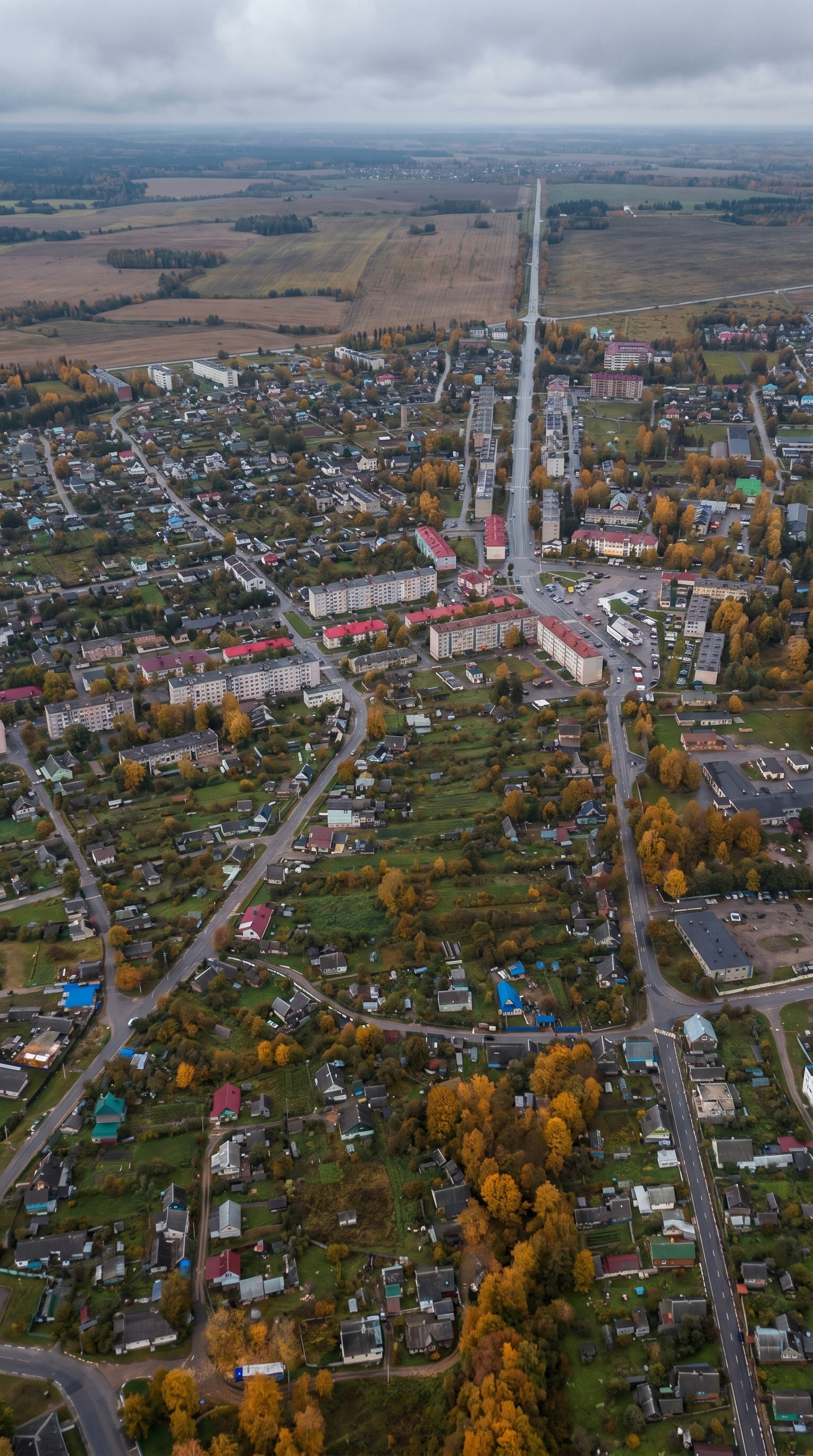 Reference image 1