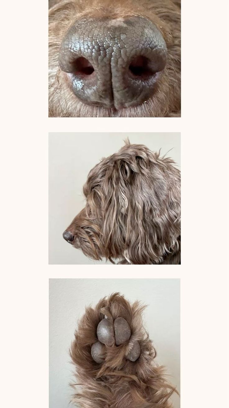 Reference image 1
