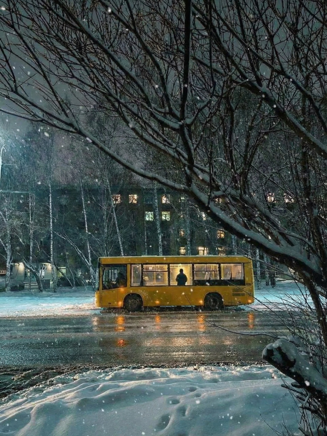 Силуэт человека выходит из автобуса на остановку, двери автобуса закрываются, автобус выезжает из...