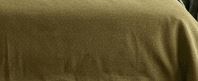 Reference image 1