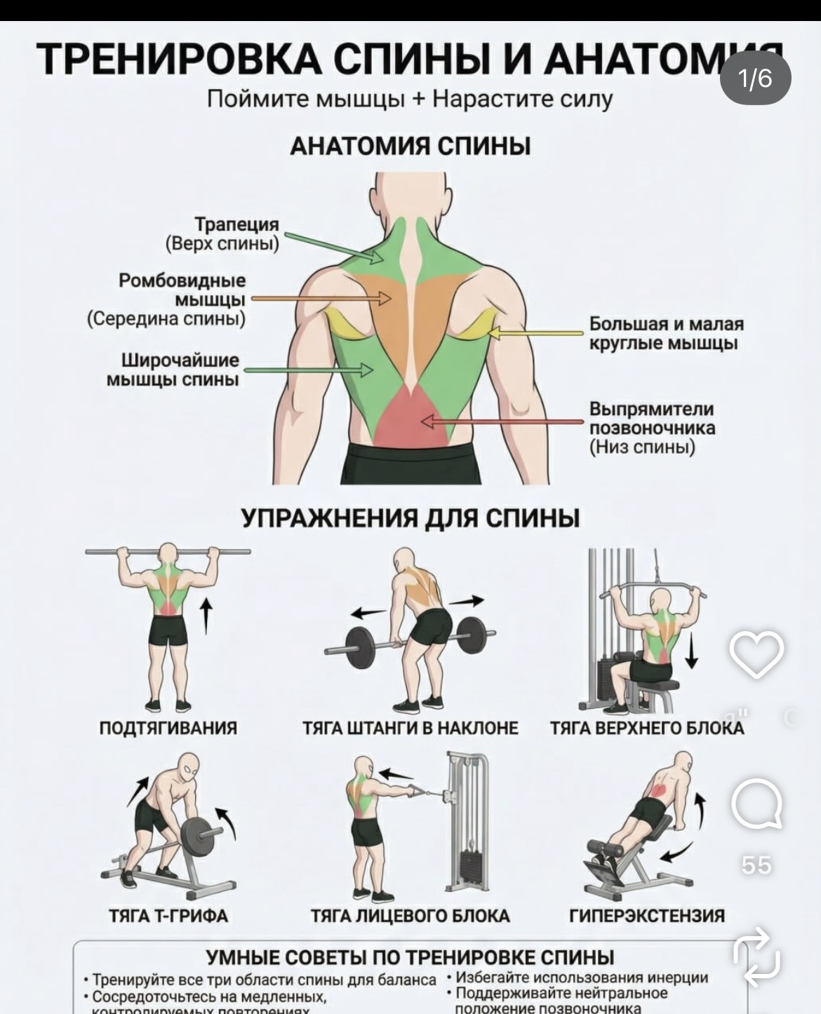 IMG_3165.jpeg