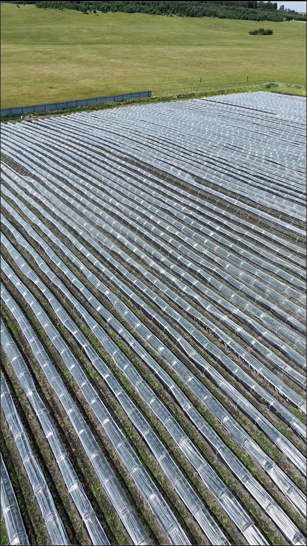 Reference image 1