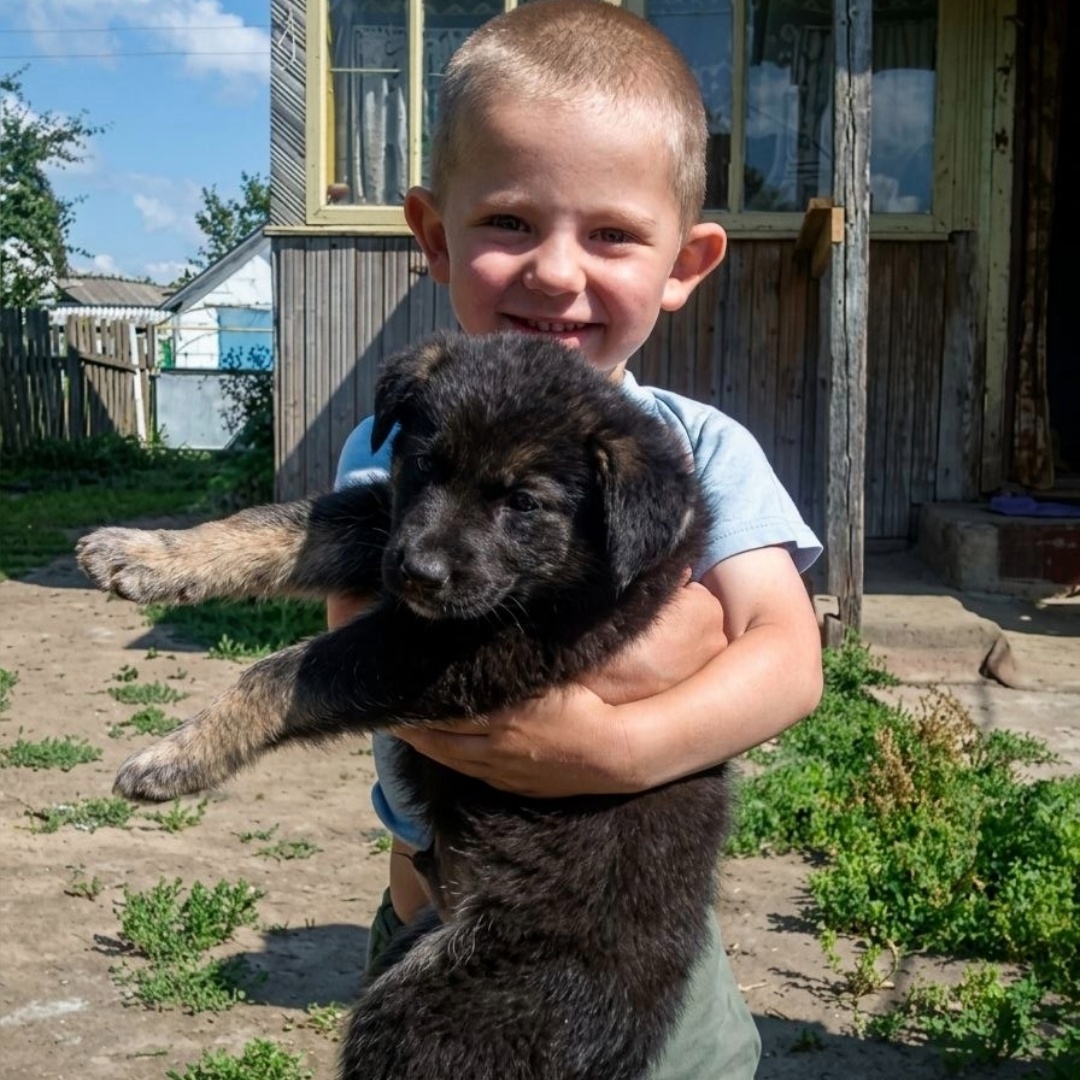 показывает всем собаку