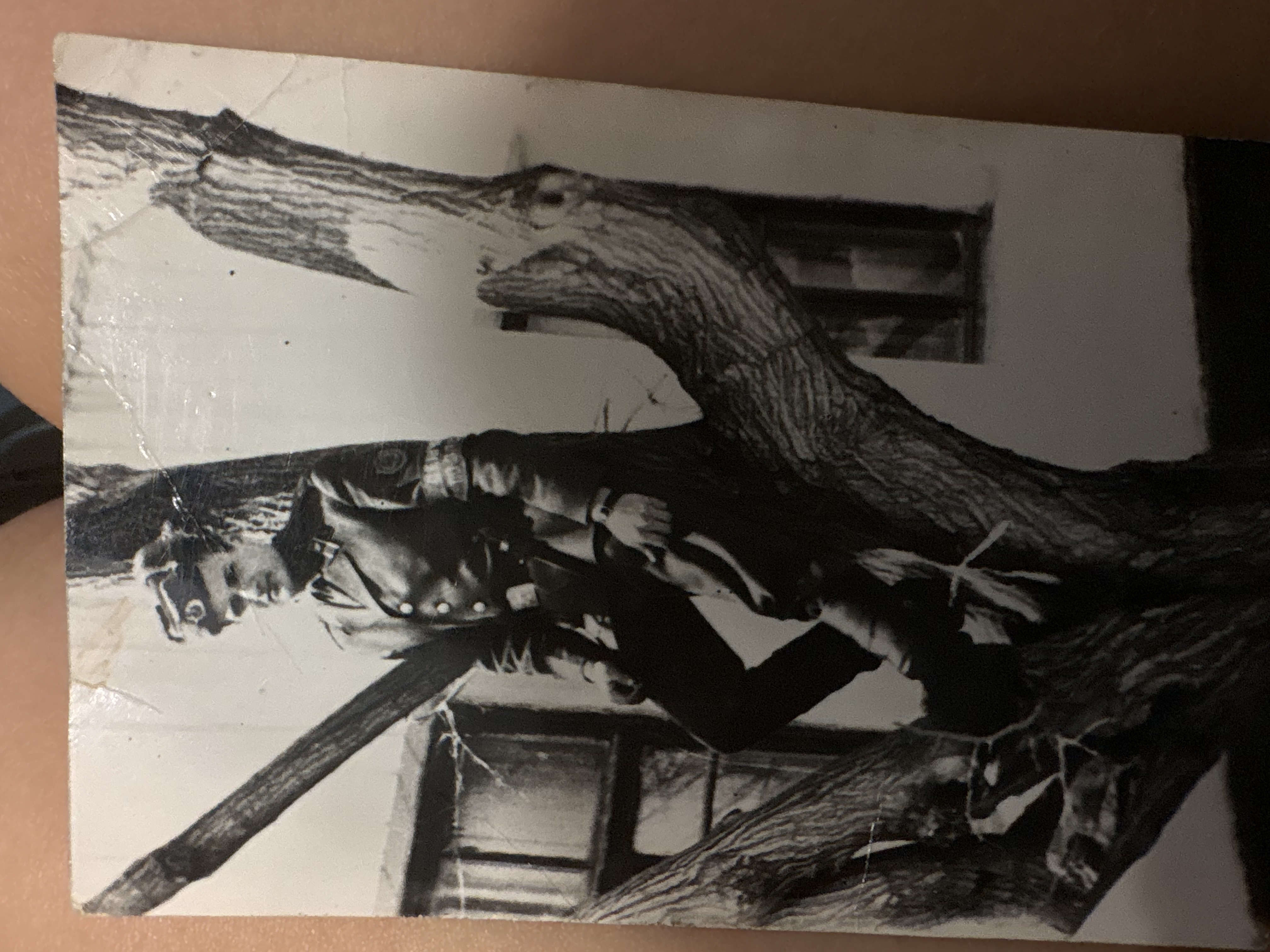 Reference image 1