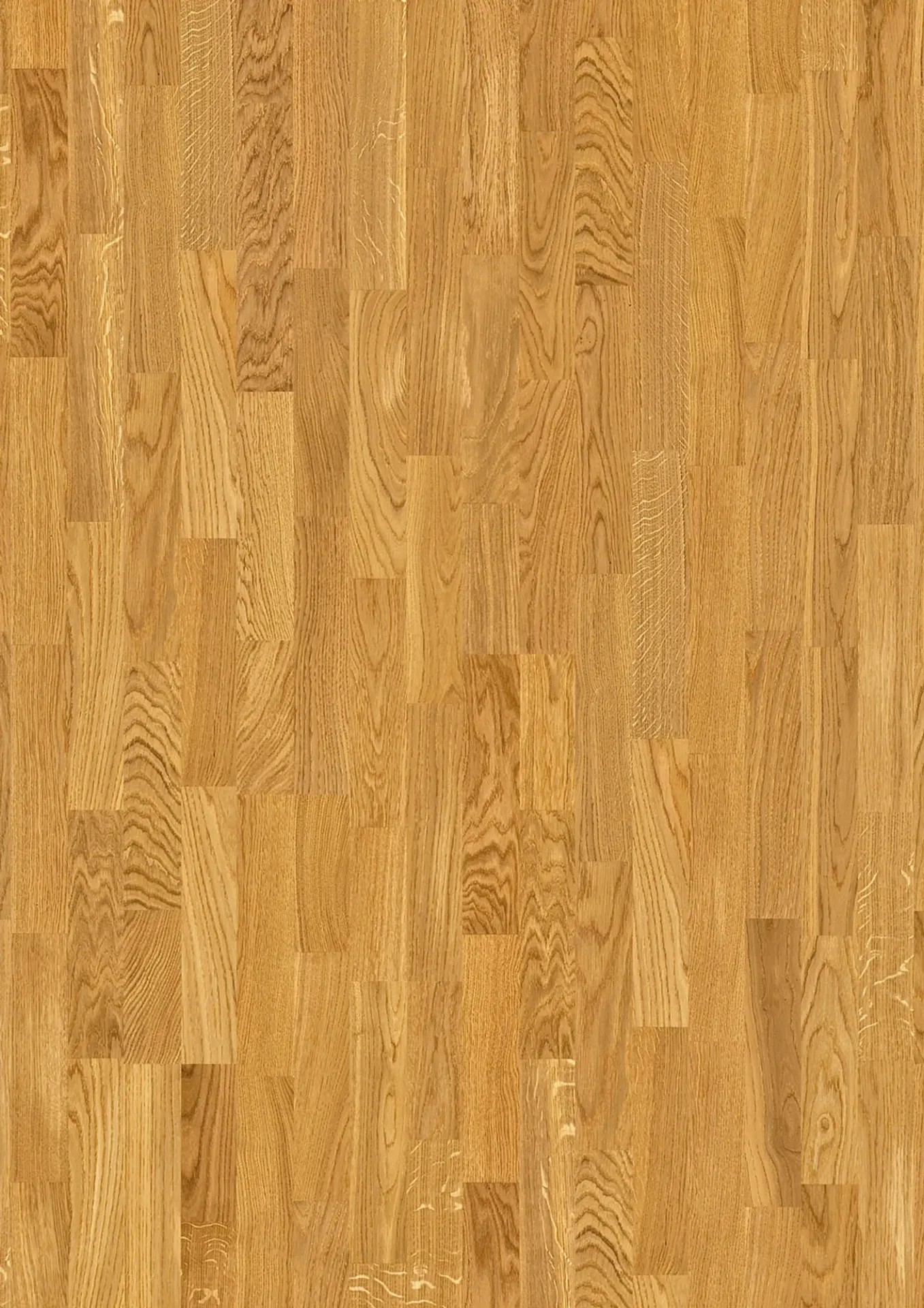 Reference image 1