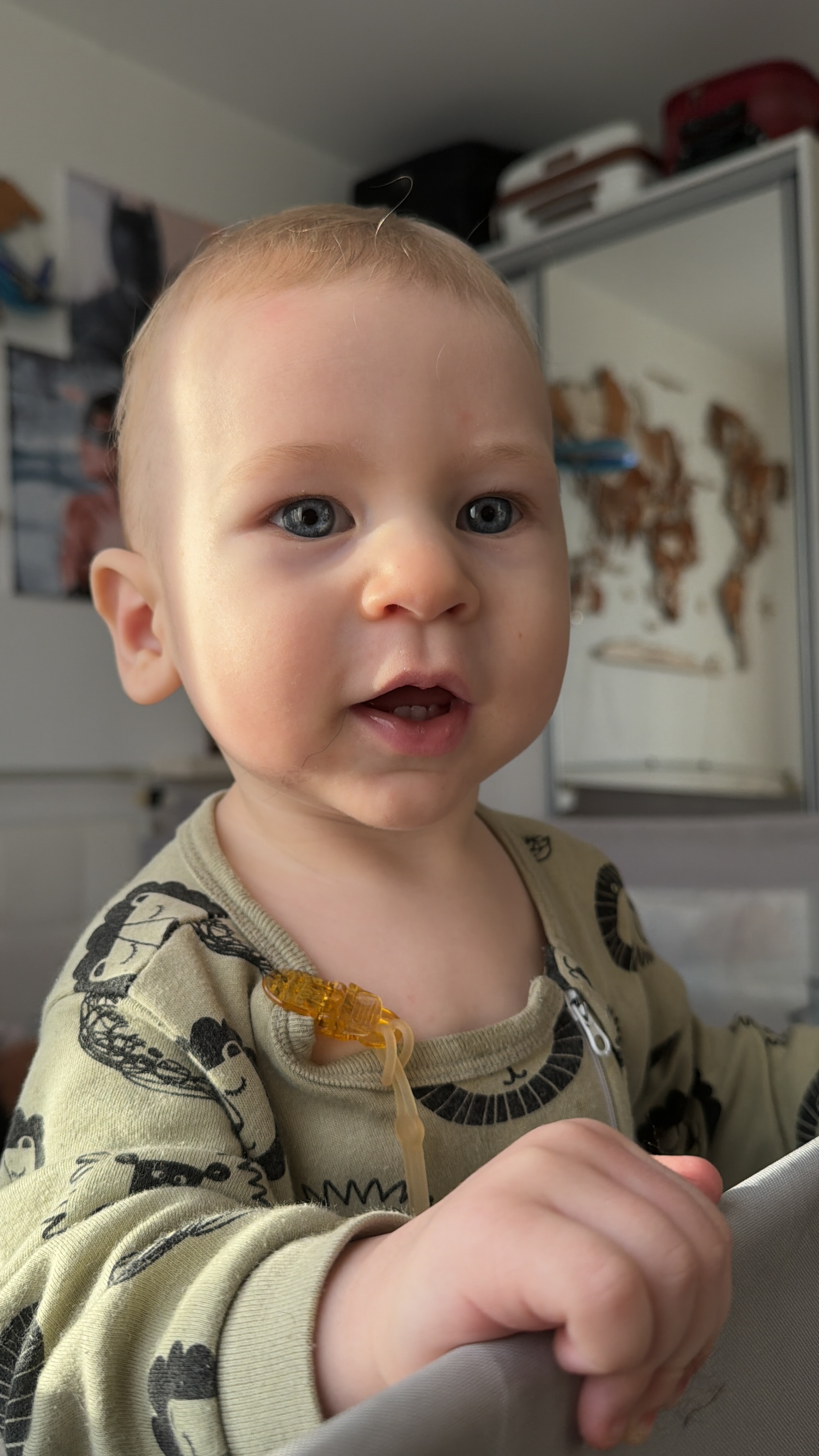 Mama Chicken — child photo for stylization