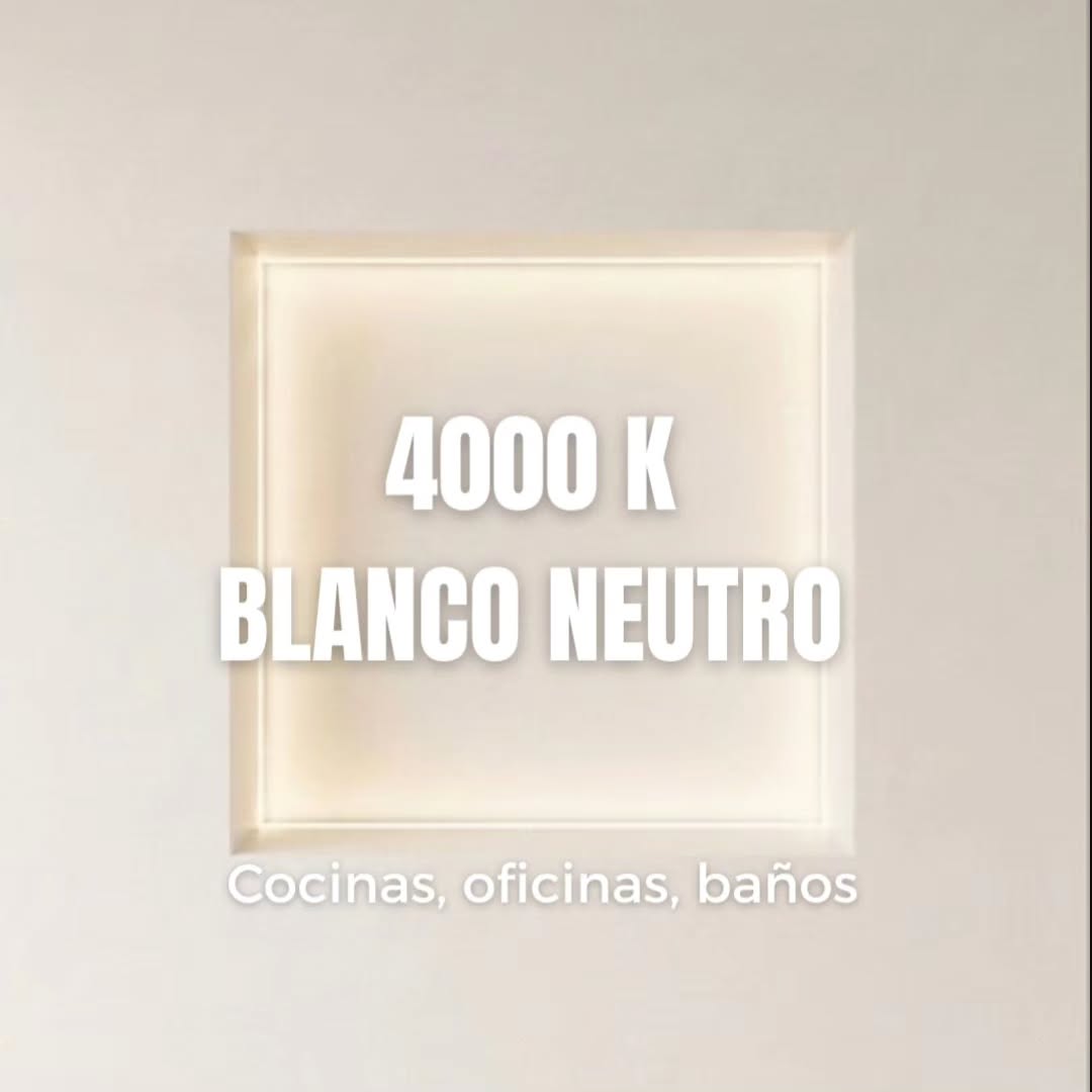 5381868784290831570.jpg
