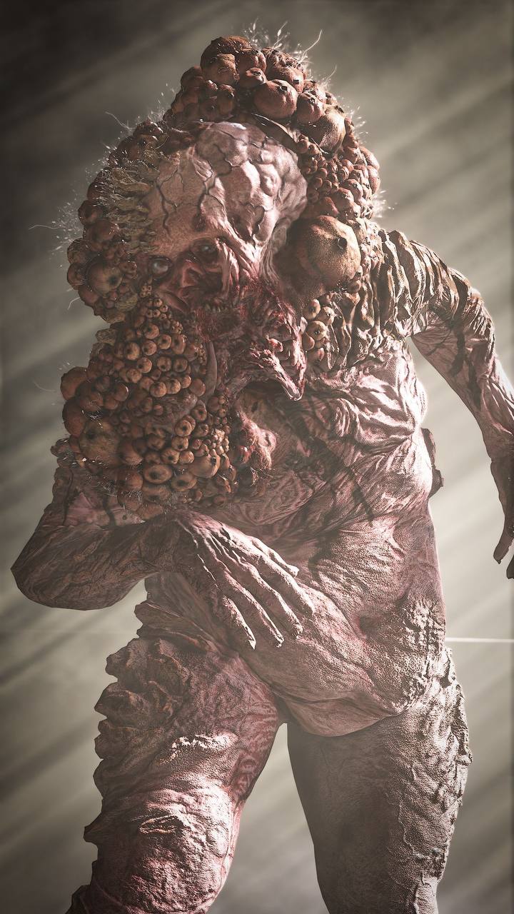 Reference image