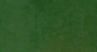 Reference image 3