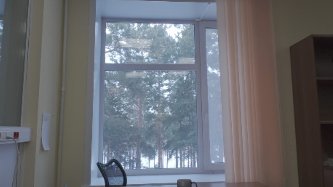 Reference image 1