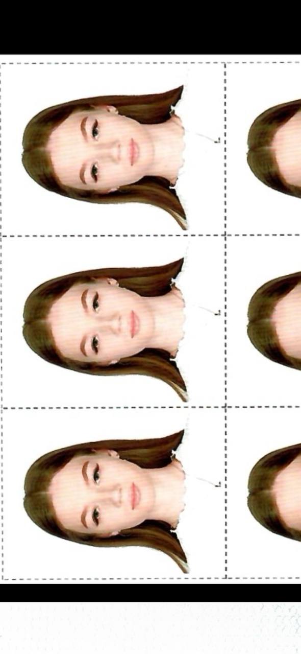 Reference image 1