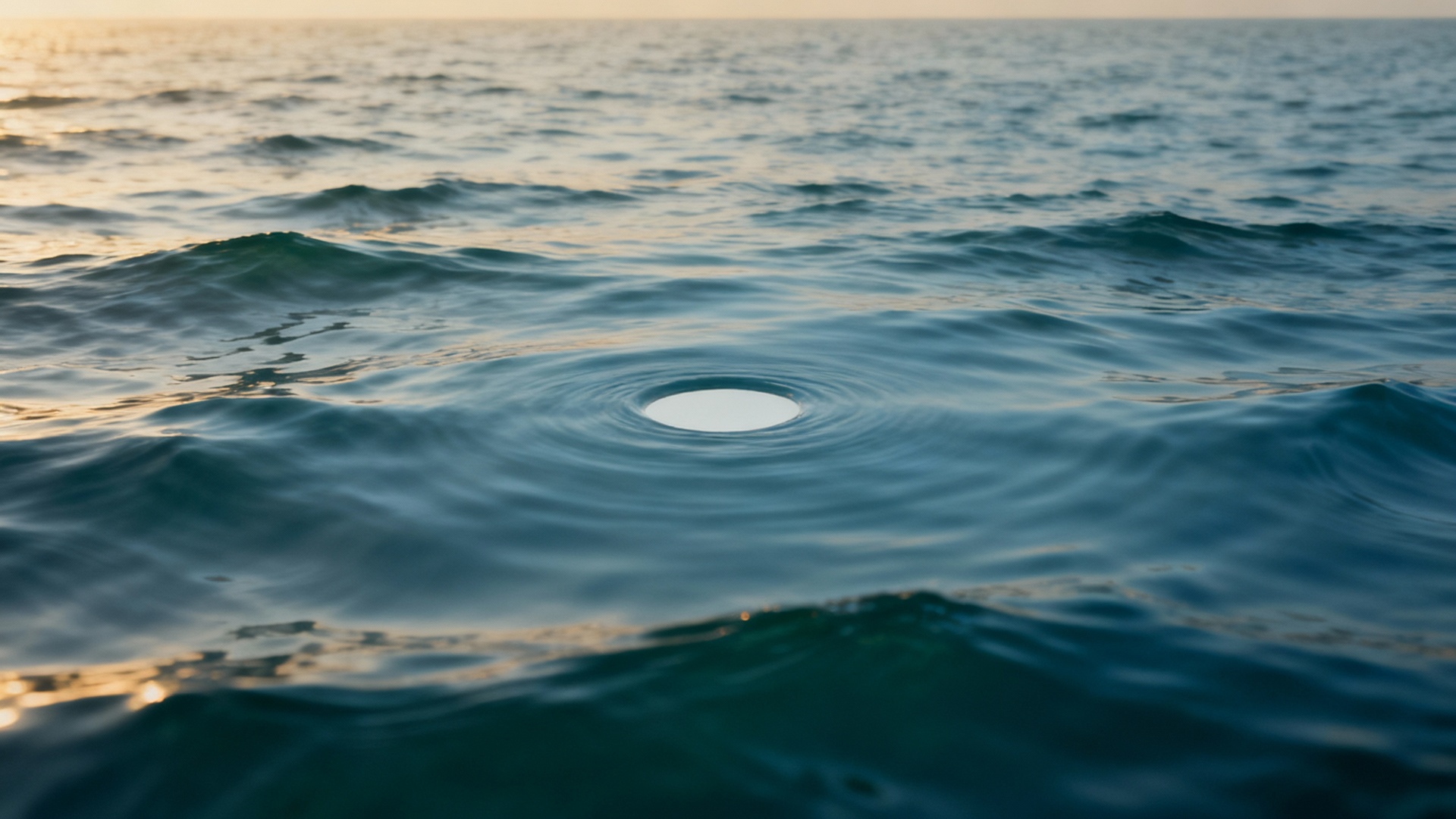 The day dawns, seagulls fly, a sail appears in the distance, an exhausted woman emerges from the ...
