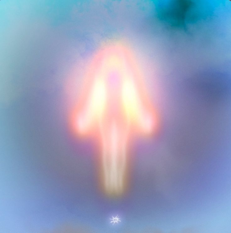 Reference image 1