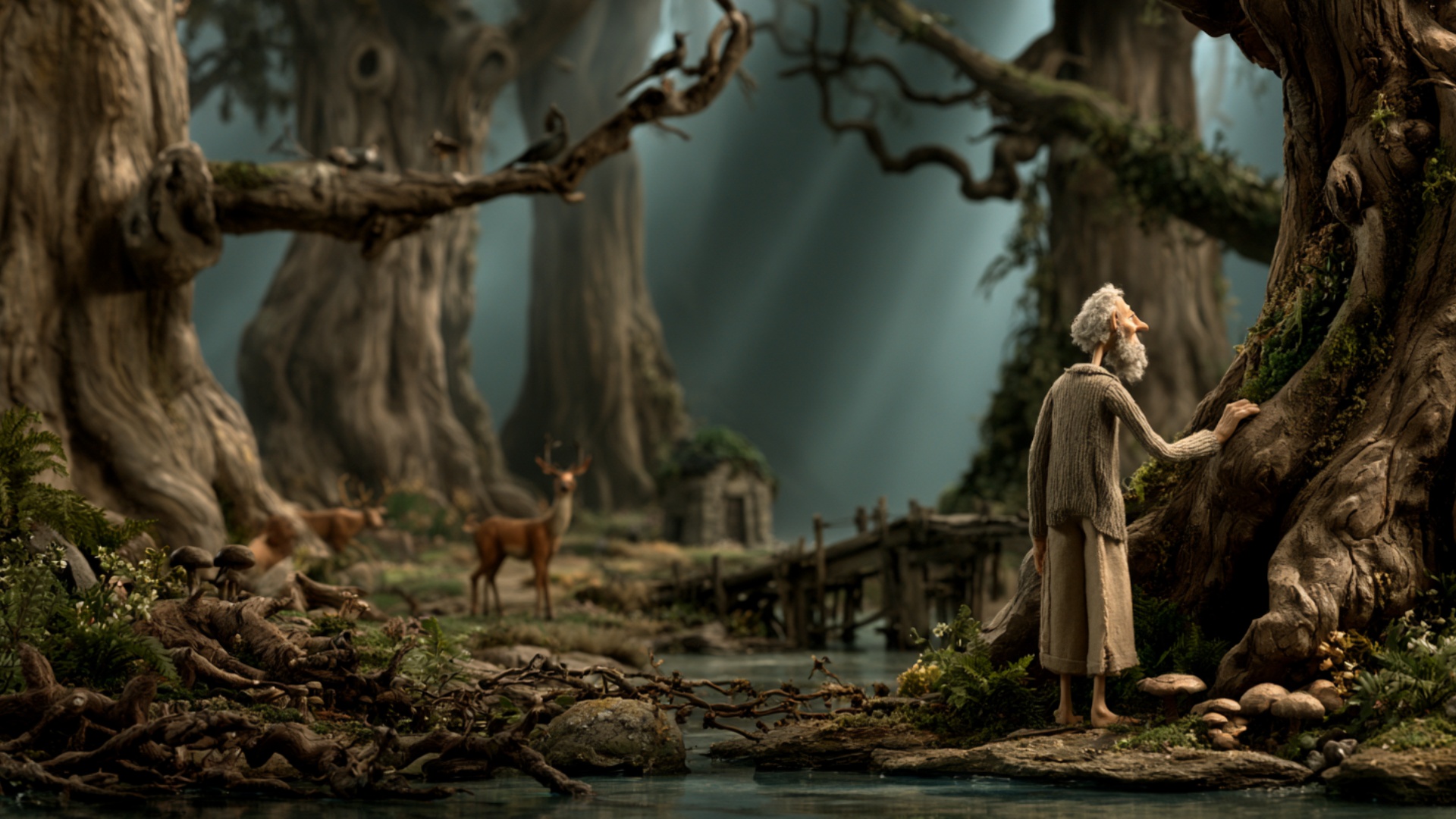 The man keeps his palm against the enormous ancient tree and slowly slides his hand a short dista...