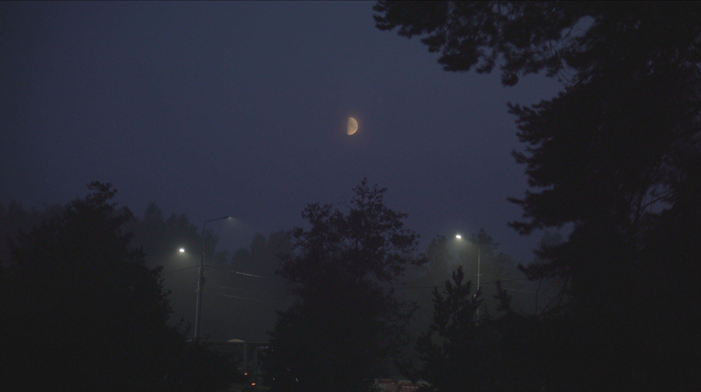 Reference image 1