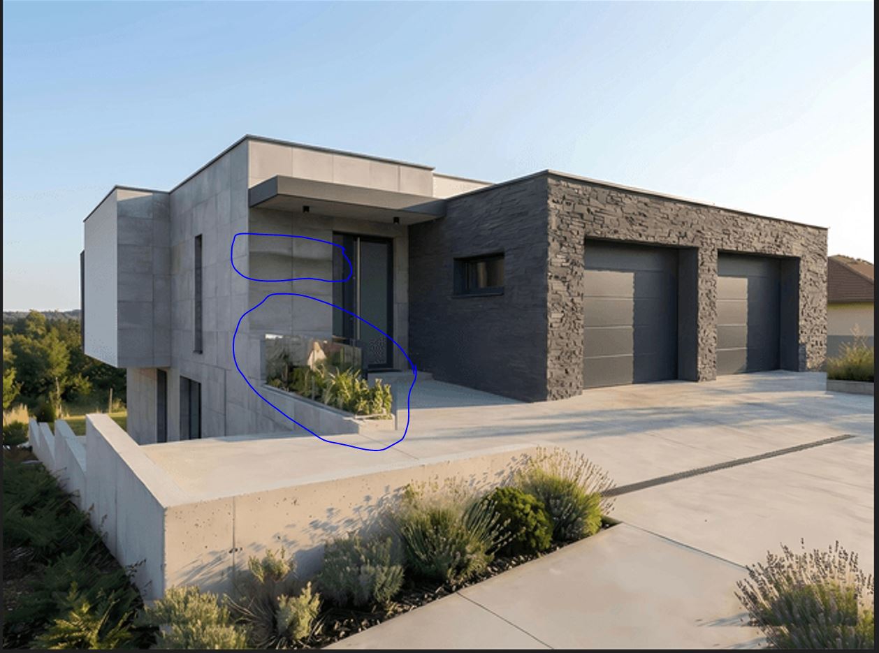 Reference image 1
