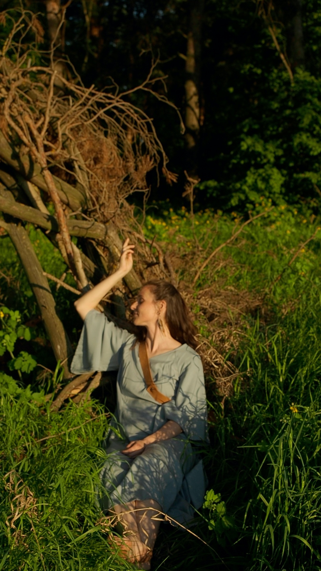 A woman sits beside a dead pine tree in warm golden hour sunlight. She slowly and gently runs her...