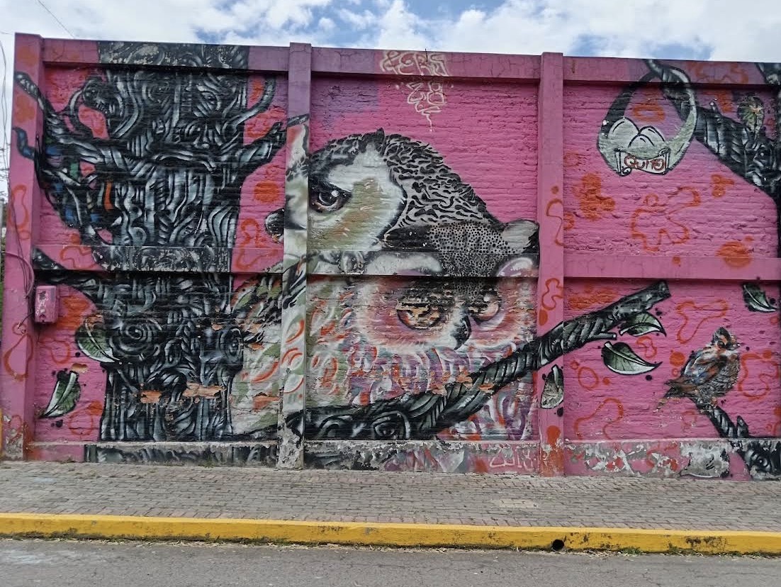 Reference image 1