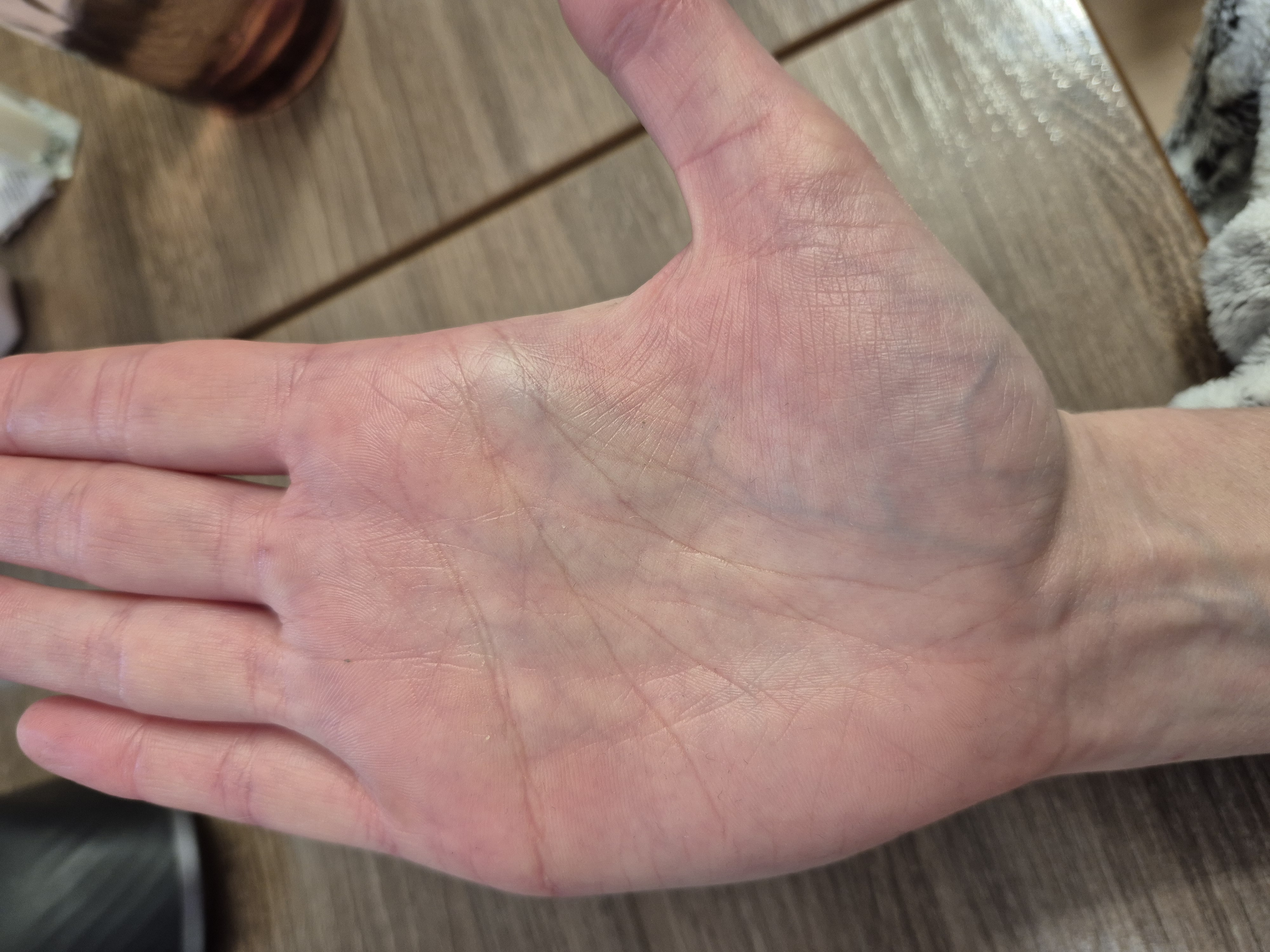 20260429_165352.jpg