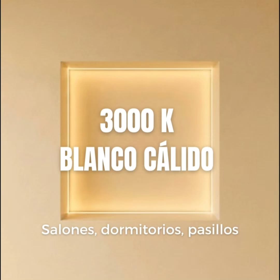 5381868784290831571.jpg