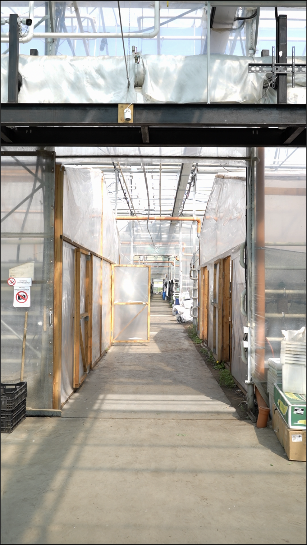Reference image 1