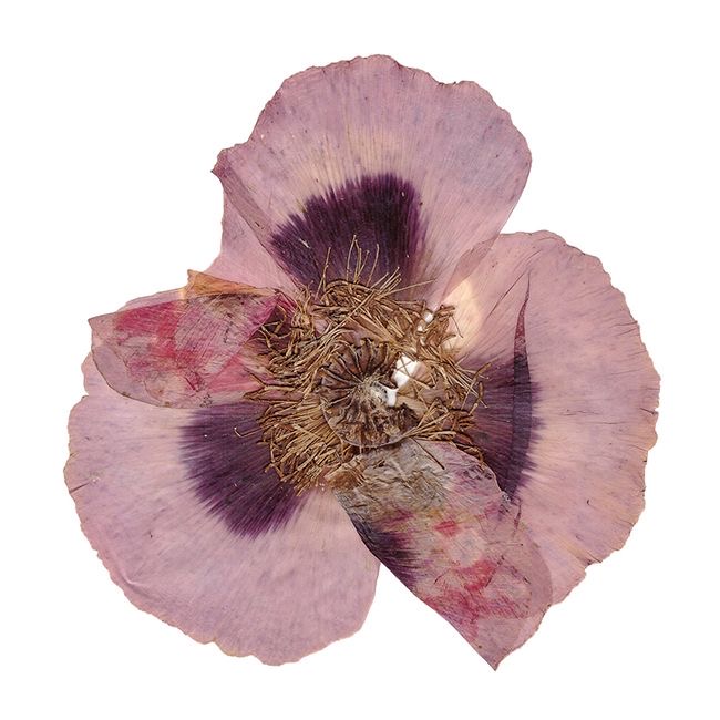 Reference image 9