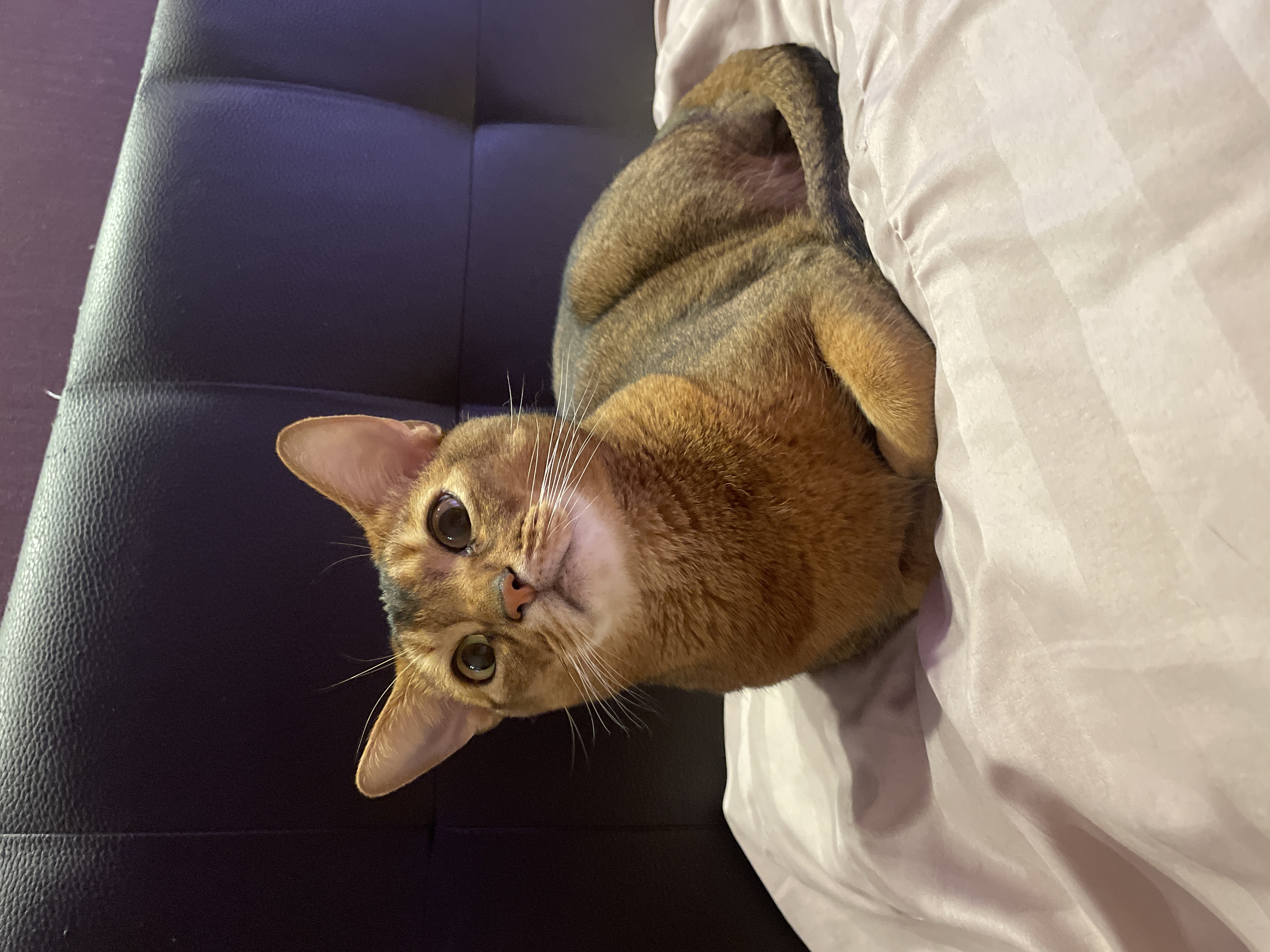 char-photo-A99A375A-9DC7-4498-9F23-D381F1D038D8.jpeg