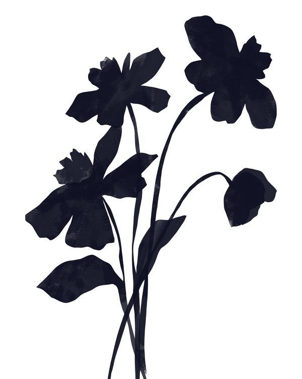 Reference image 1