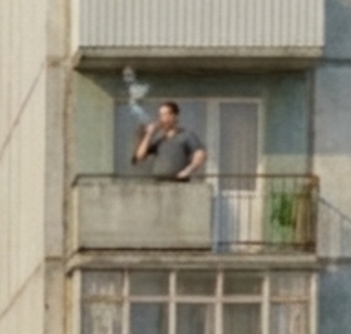 Reference image 1