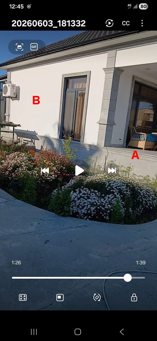 Reference image 1