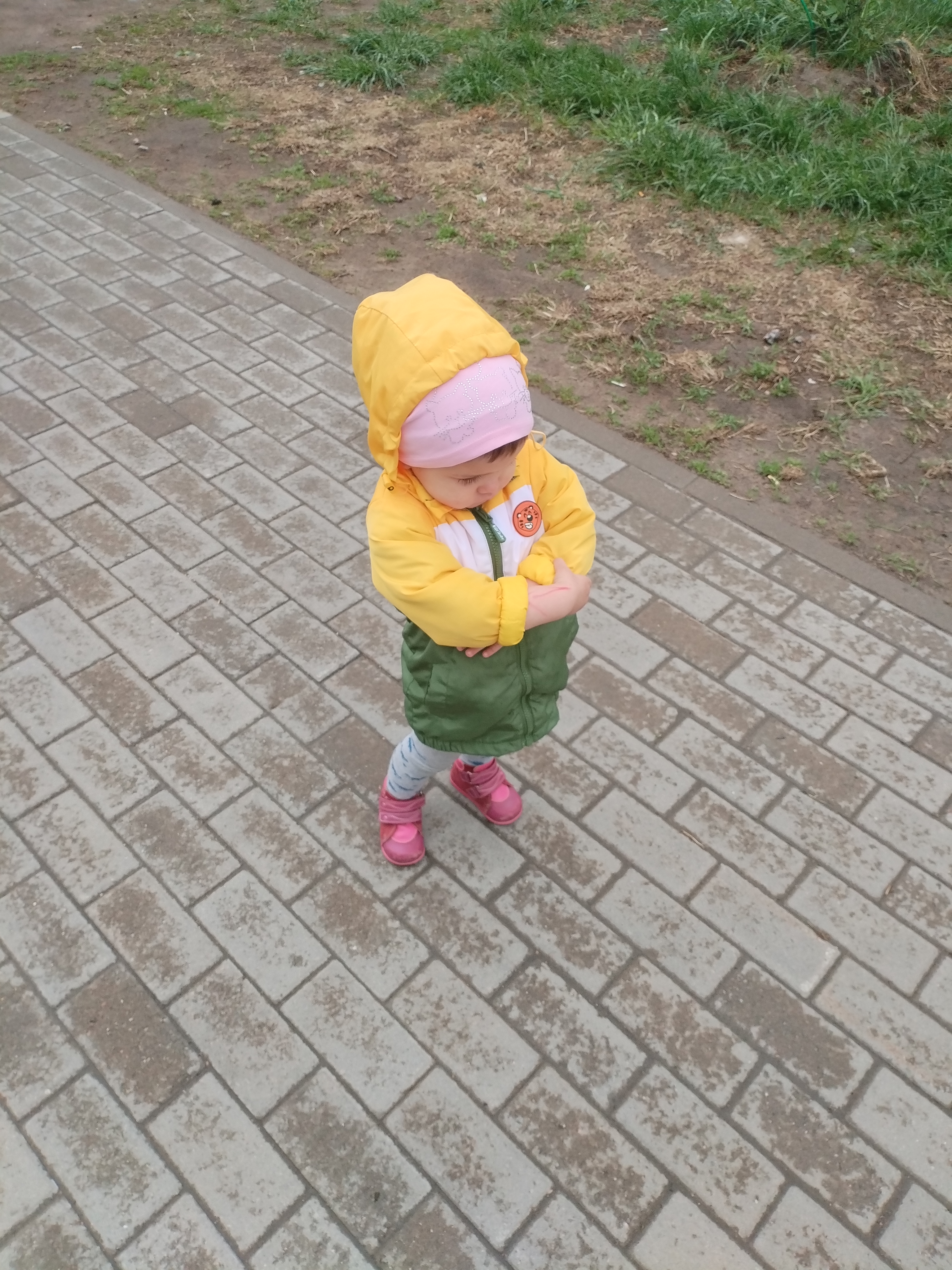 IMG_20260515_130141.jpg