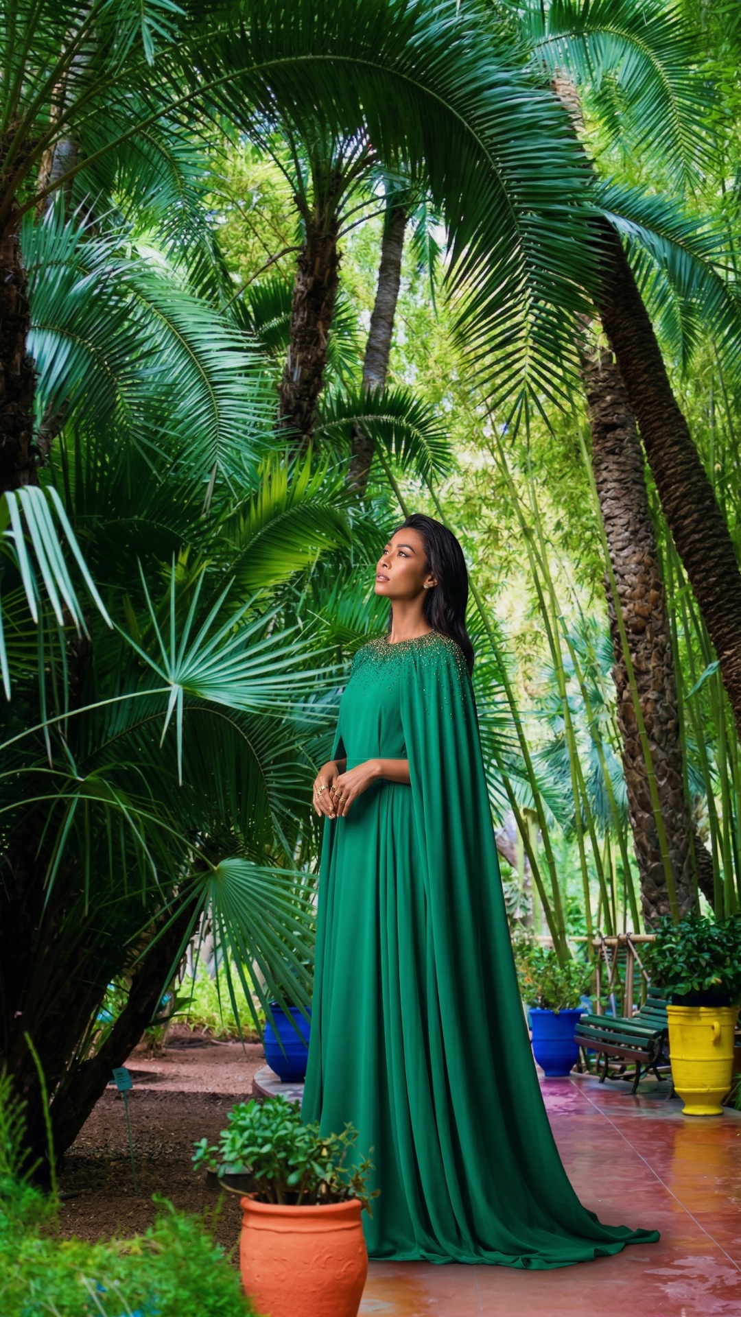 she is admiring the trees