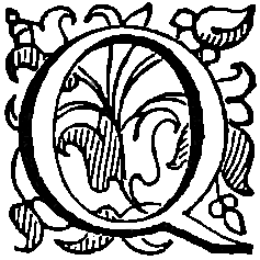 Reference image 1
