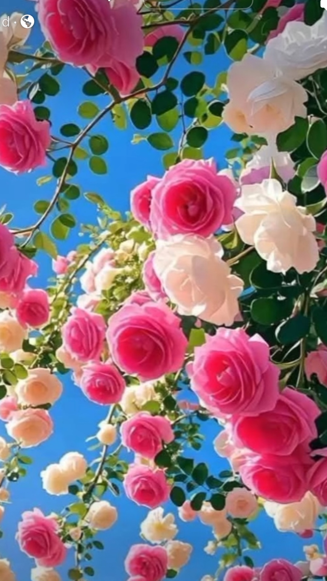 Make flowers blow in wind and add super woman