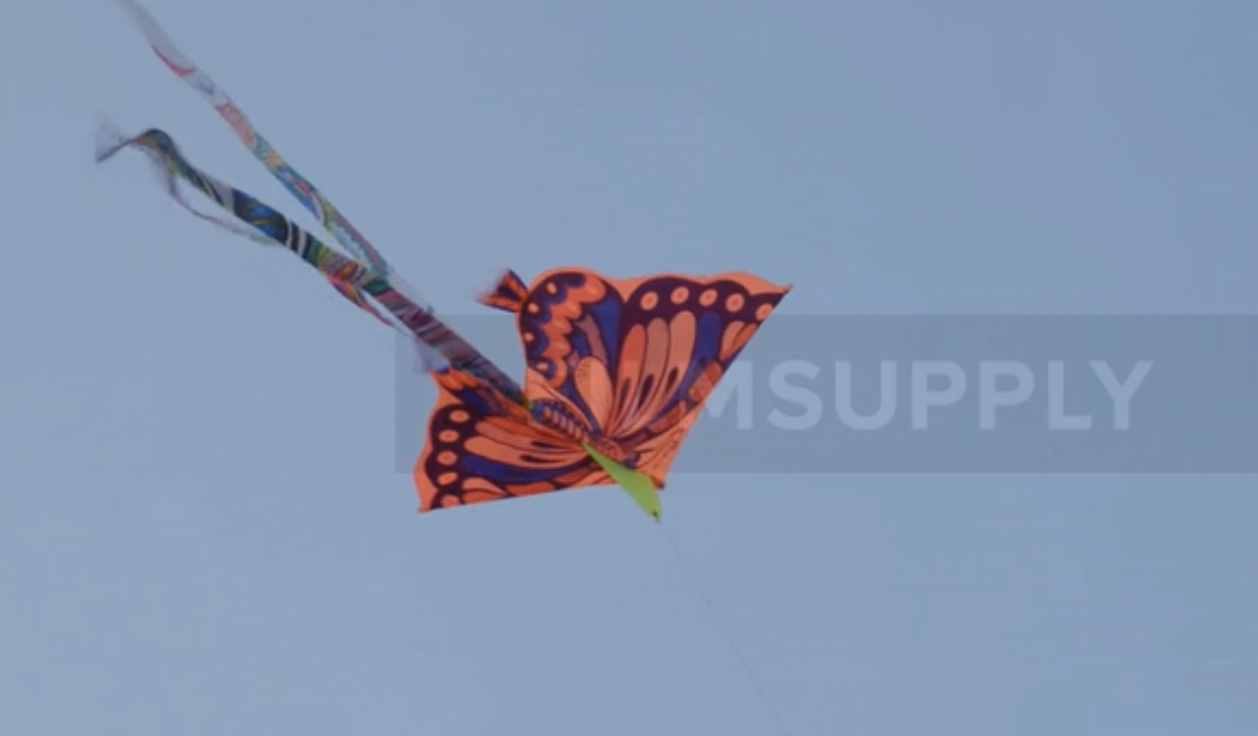 Reference image 1