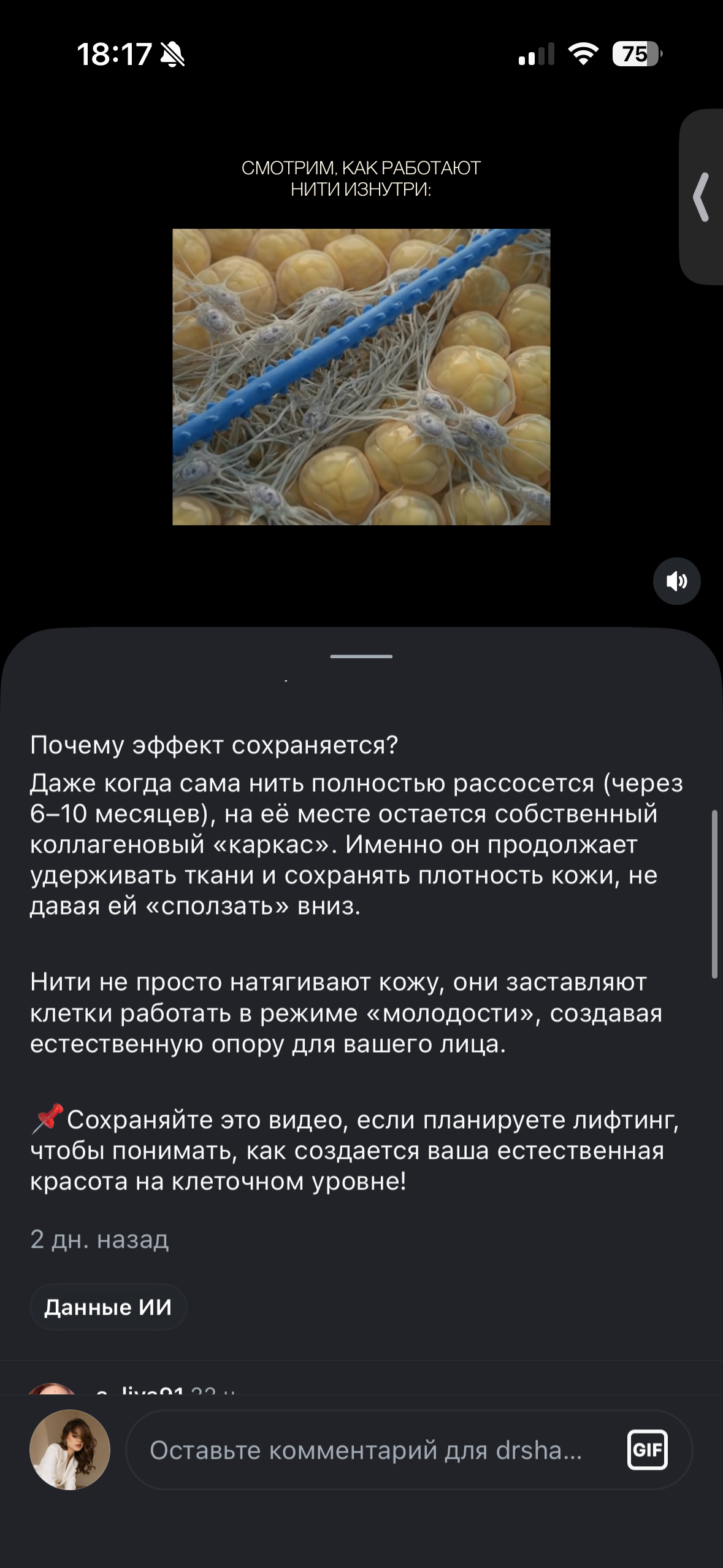 IMG_4940.png