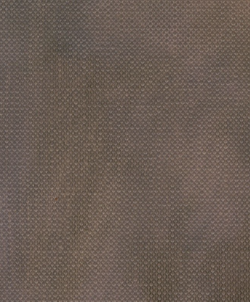 Reference image 6