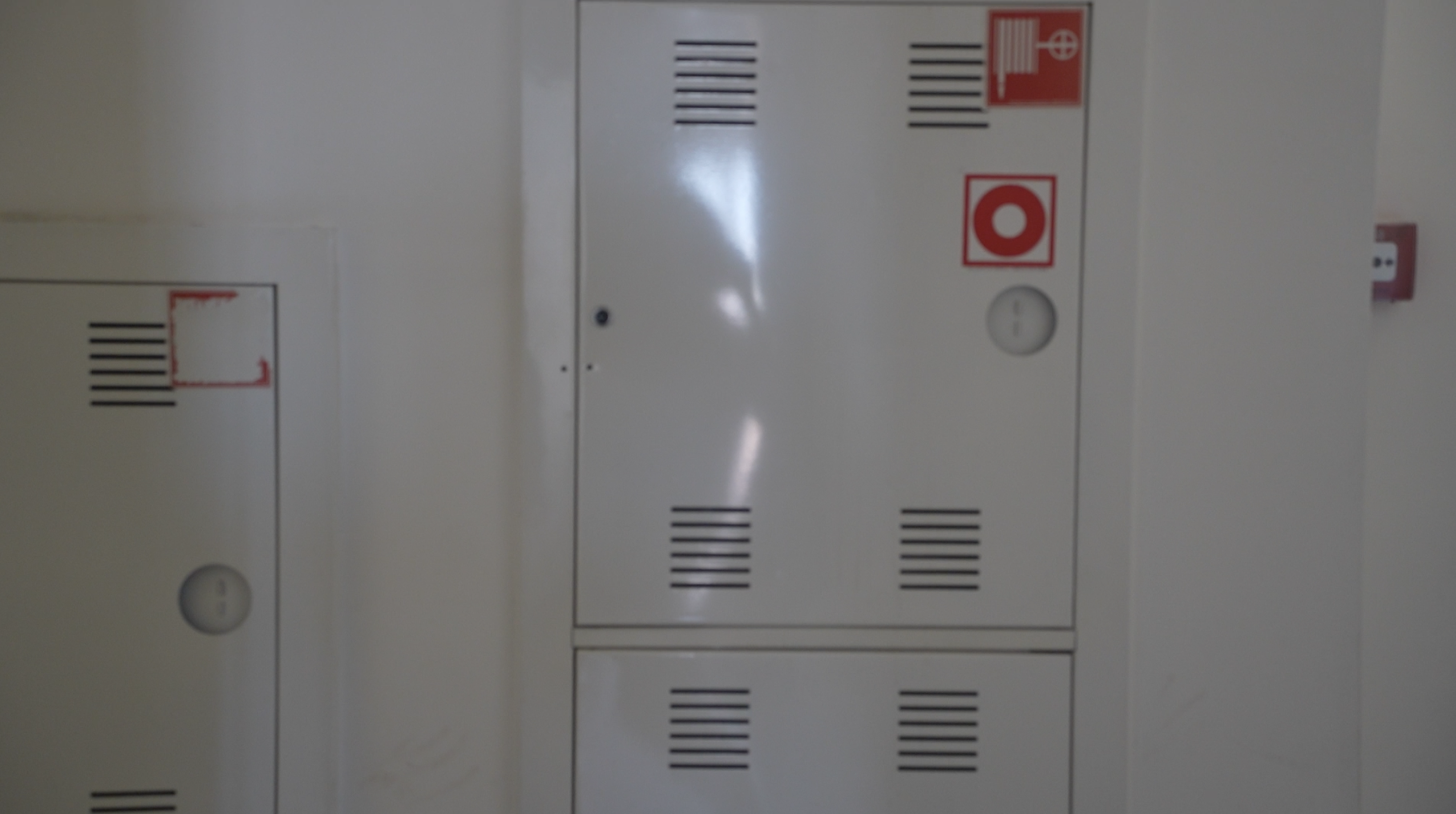 Reference image 1